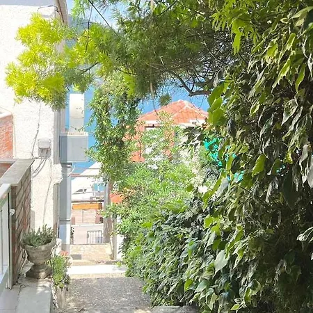 Stella Maris - Family * Polače