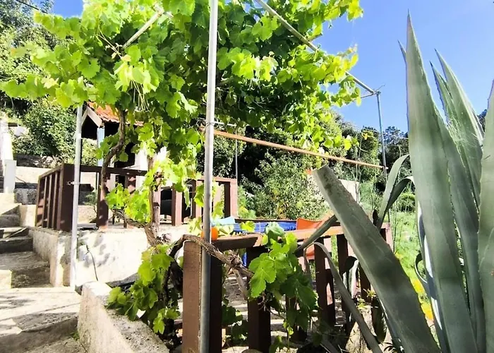 Stella Maris - Family