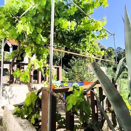 Stella Maris - Family