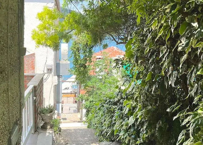 Stella Maris - Family * Polače